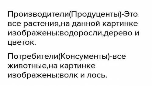 На рисунке показаны компоненты экосистемы Выпишите на рисунке производителя, потребителя, нарушителя