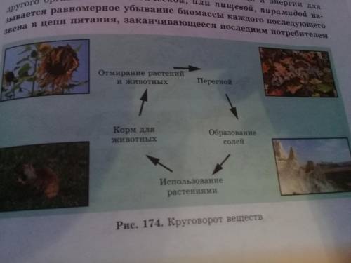 Объясни на примере растений связь живых организмов со средой их ообитания заранее..