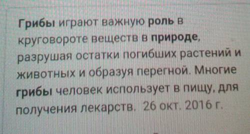 Какова роль грибов в микроорганизмов в природе