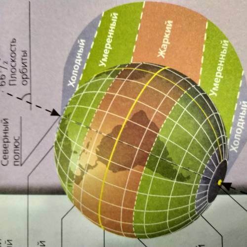 3.Какие особенности имеют природные зоны высотных поясов.