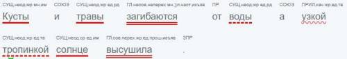 Словосочетание в предложении кусты и травы загибаются от воды а узкой тропинкой солнце высушала т по