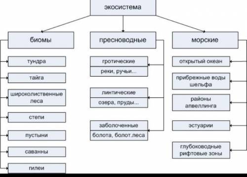 ответь 1.Виды экосистем и приведи примеры (по тексту учебника) Рис 144.2.Назовите эндемики для отдел