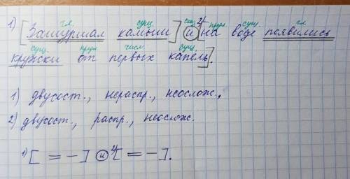 Выполните синтаксический разбор предложения Зашуршал камыш и на воде появились кружки от первых капе