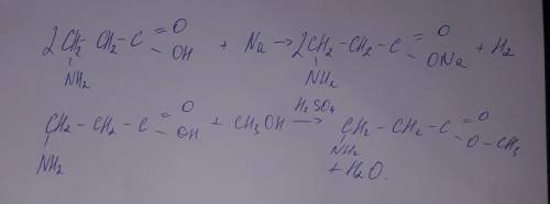 CH2NH2-CH2-COOH + Na2 CH2NH2-CH2-COOH + СН3-ОН