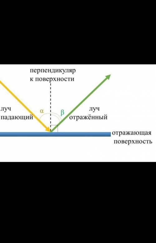 Дам 50рублей на киви. кто ответит. На плоское зеркало падает луч света. Определи, чему равен угол па
