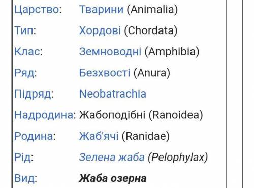 Представники типу хордовіа)черв'як дощовийб)ставковик великийв)бджола медоноснаг)жаба озерна​