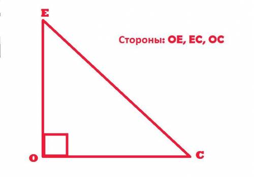 Посторойте треугольник OEC, угол O=90 градусов . Выпишите и назовите соответственно его стороны