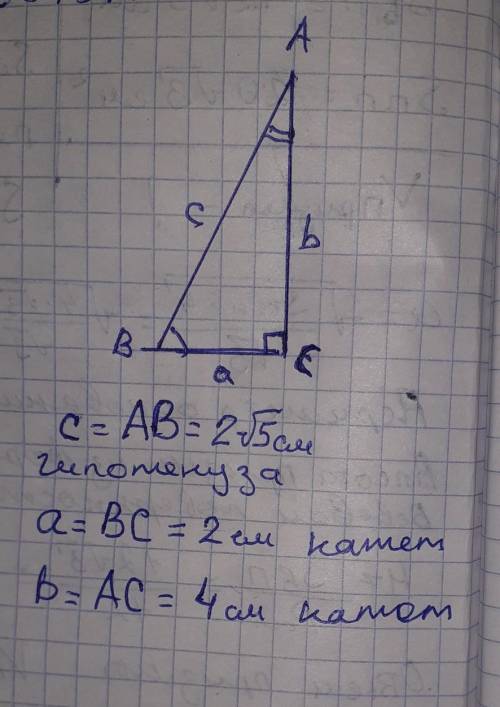 Знайдіть гіпотенузу прямокутного трикутника та площу, катети якого дорівнюють 2 см і 4 см
