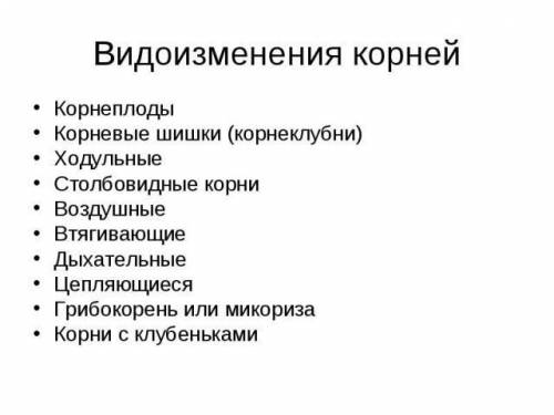 Водоизменения корня в биологии ​