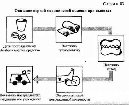 Составить рисунок памятку ПМП при вывихе 5 класс ОБЖ