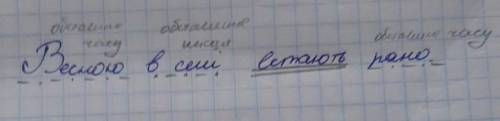 Синтаксичний розбір речення Весною в селі встають рано