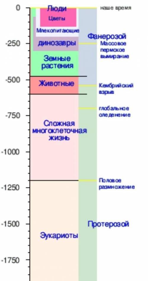 Записать как шло освоение жизни на земле в архее и протерозое​