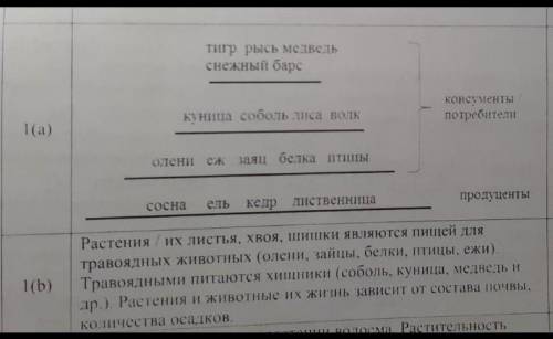 Объясните взаимосвязь компонентов в этой экосистеме.​