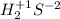 H_{2}^{+1}S^{-2}