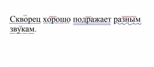 Разбери предложение по членам и укажи части речи Скворец хорошо подражает разным звукам.