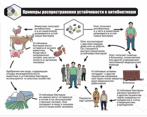 Примеры антибиотиков Против каких микроорганизмов применяются