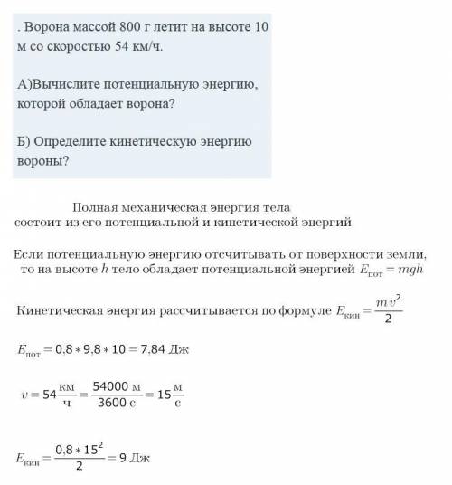 . Ворона массой 800 г летит на высоте 10 м со скоростью 54 км/ч.А)Вычислите потенциальную энергию, к