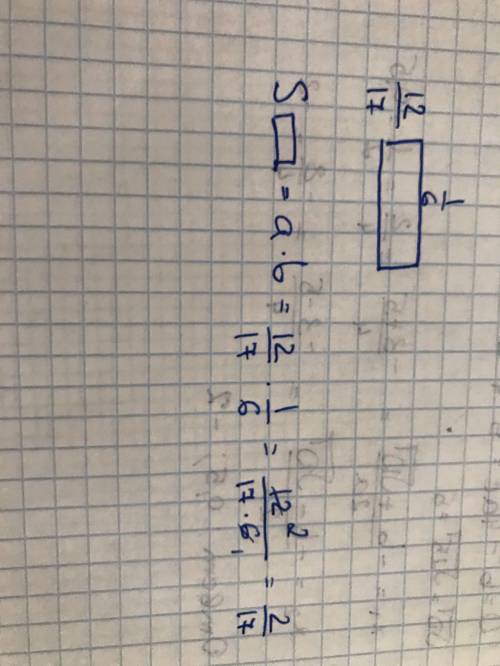 Найдите площадь прямоугольника со сторонами 1/6 и 12/17