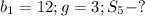 b_1=12; g=3; S_5 - ?\\