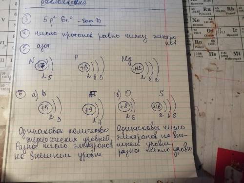 объяснять не надо, только правельный вариант ответа!!