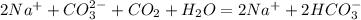 2Na^+ + CO_3^{2-} + CO_2 + H_2O = 2Na^+ + 2HCO_3^-