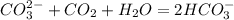 CO_3^{2-} + CO_2 + H_2O = 2HCO_3^-