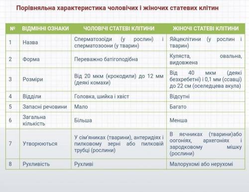 Чим відрізняються статеві клітини від соматичних ? Чим відрізняється чоловіча статева клітина від жі