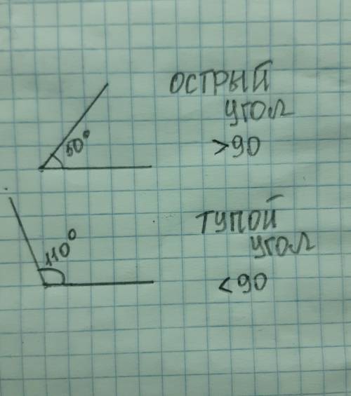 Начертить два угла острый и тупой.Измерить их и обозначить.