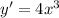 y'=4x^3