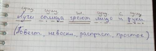 Синтаксический разбор предложения лучи солнца греют лицо и руки