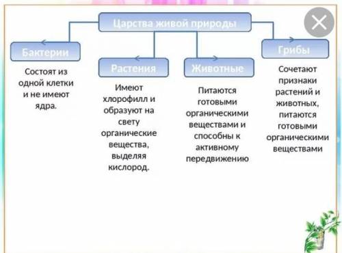 В чём особенность каждого из царств живой природы скажите