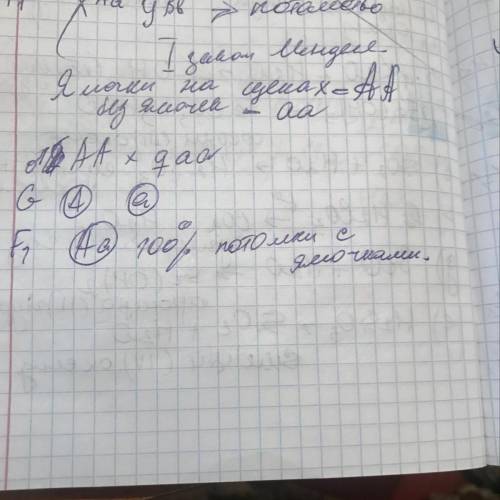 В каком законе Менделя доказано, что все потомки будут однообразными как по генотипу, так и за фенот