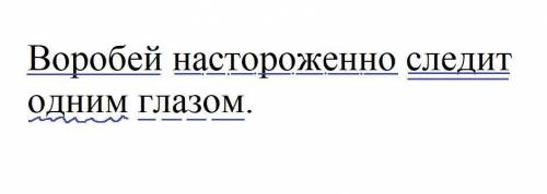 Комплексная работа, скиньте готовую .