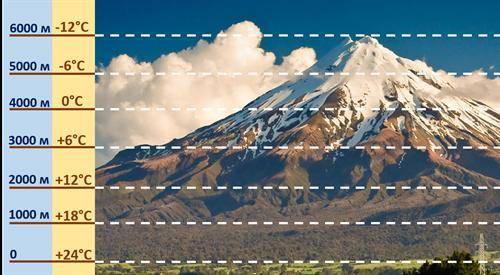 5. Можно ли определить высоту горы по температуре воздуха? Поясните свой ответ.чел. и мир 5 класс​