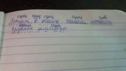 Запишите предложение, подчеркните грамматическую основу и второстепенные члены. Определите, какими ч