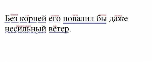 Без корней его повалил бы даже (не)сильный ветер синтаксичный разбор сделайте