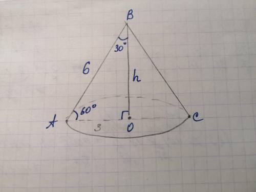 Твірна конуса довжиною 6 см нахилена до площини основи під кутом 60°. Знайти висоту конуса.