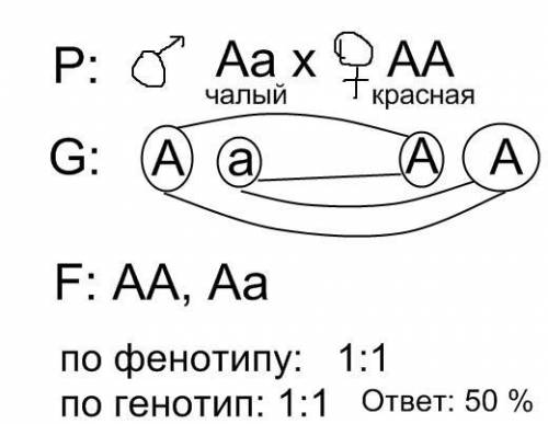 НУЖНЫ ОТВЕТЫ Задача № 17. Нормальная женщина, отец которой был дальтоник, выходит замуж за нормально