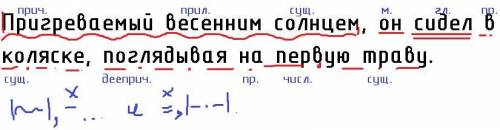 Пригреваемый весенним солнцем он сидел в коляске поглядывая на первую траву. Расставьте знаки препин