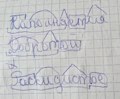 2.Разберите по составу слова: нап..лняет..ся, добротой, ра(с/з)кидистое