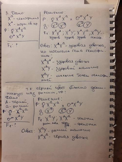 1. МАТЬ- дальтоник. ОТЕЦ-нормальное зрение. ОПРЕДЕЛИТЬ генотип,фенотип и пол детей по этому признаку