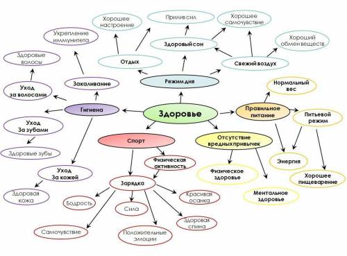 создать кластер на тему здоровье, здоровый образ жизни должно быть не меньше 50 слов. Главная тема