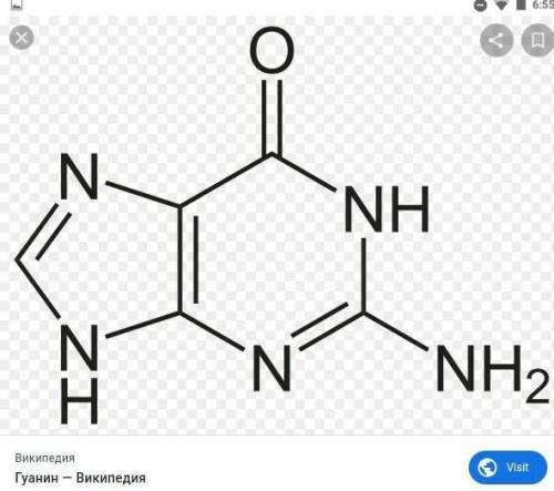 Цитозин, тимин, урацил, аденин, гуанин курылымдык жане молекулалык формуласын, атын жазамыз​