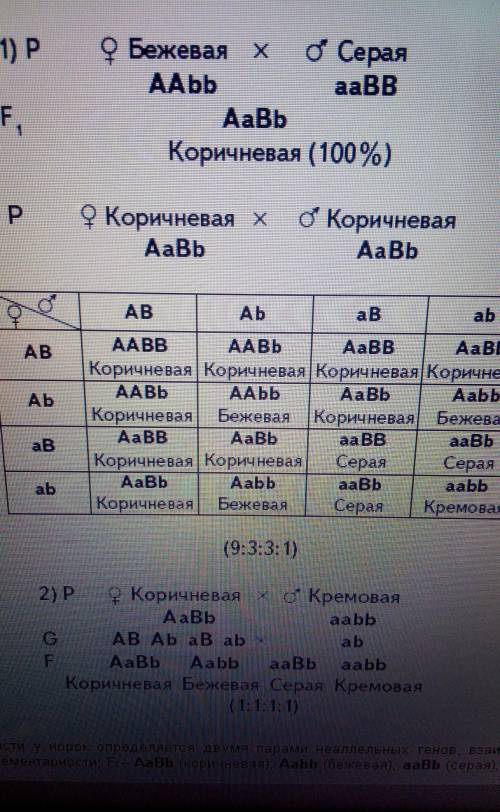 ответить на 5 во теста (для каждого во выбрать один правильный вариант ответа). 1. Полимерию иллюстр