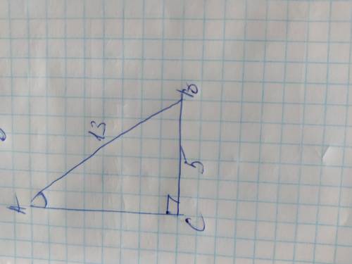катет і гіпотенуза прямокутного трикутника відповідно дорівнюють 5 см і 13 см. знайдить синус гостро