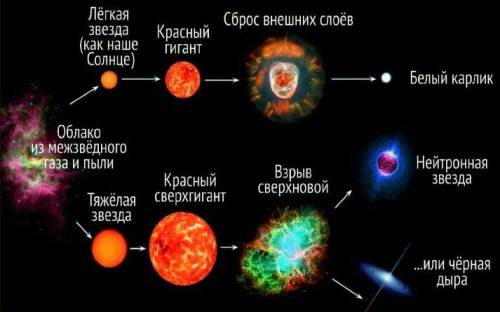 Как происходит разви­тие звезд?