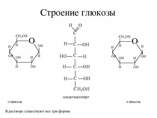 Моносахариды – глюкоза и фруктоза: а) нахождение в природе б) строение (желательно структурные форму