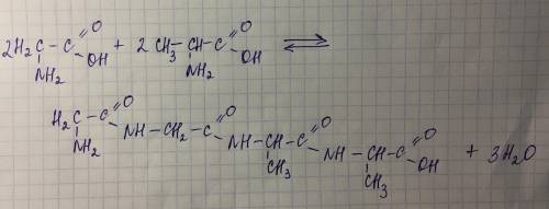 1. Напишите уравнение реакции образования три пептида из двух молекул глицина и двух молекул аланина