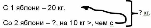 С одной яблони собрали 20 кг яблок, а с другой на 10 кг больше. Сколько яблок собрали с двух яблонь