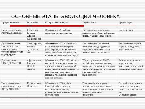 Эволюция приматов. Этапы эволюции человека.